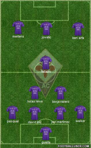 Fiorentina Formation 2013