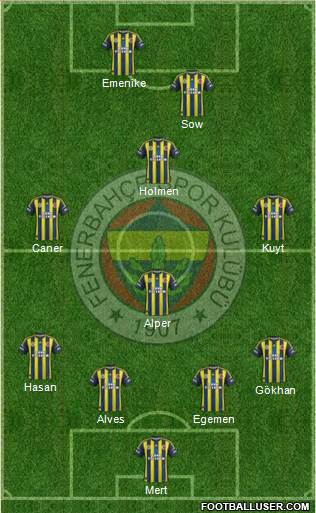 Fenerbahçe SK Formation 2013