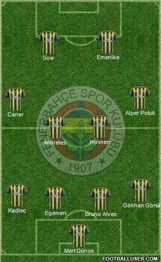 Fenerbahçe SK Formation 2013