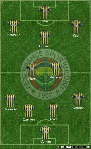 Fenerbahçe SK Formation 2013