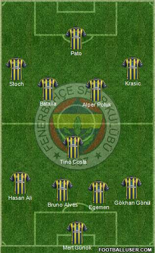 Fenerbahçe SK Formation 2013