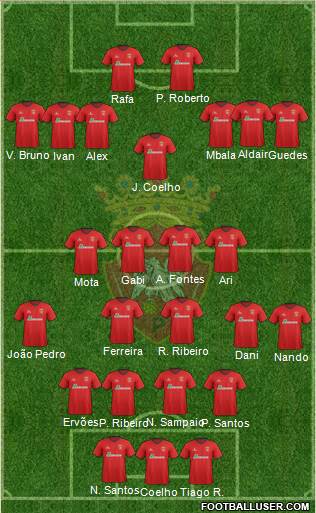 Futebol Clube de Penafiel Formation 2013