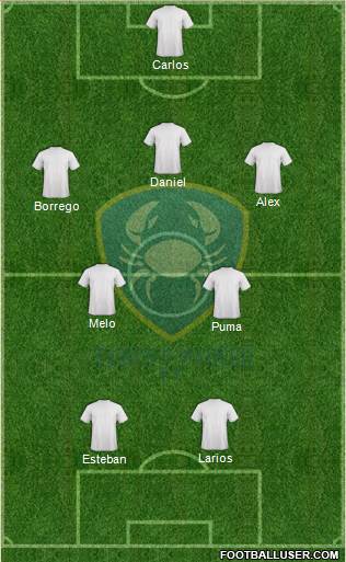 Club de Futbol Tampico Madero Formation 2013