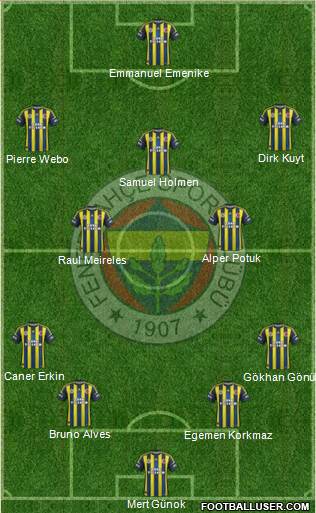 Fenerbahçe SK Formation 2013