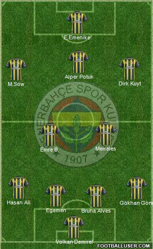 Fenerbahçe SK Formation 2013