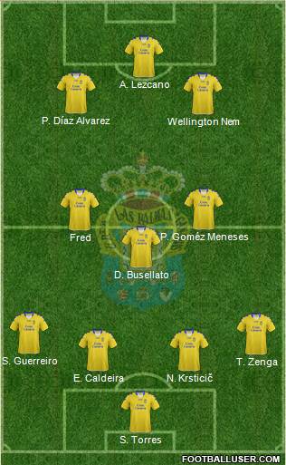 U.D. Las Palmas S.A.D. Formation 2013