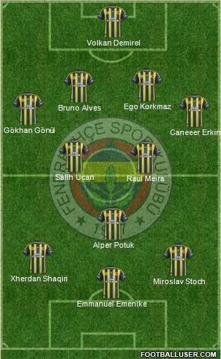 Fenerbahçe SK Formation 2013