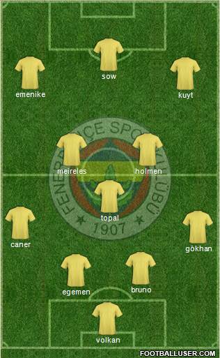 Fenerbahçe SK Formation 2013