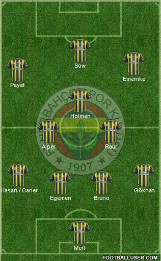 Fenerbahçe SK Formation 2013