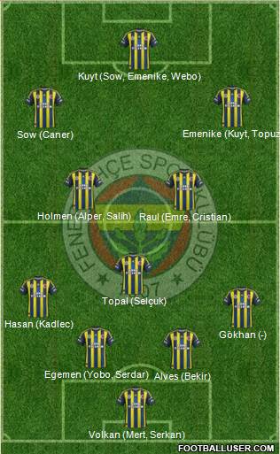 Fenerbahçe SK Formation 2013