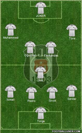 Besiktas JK Formation 2013