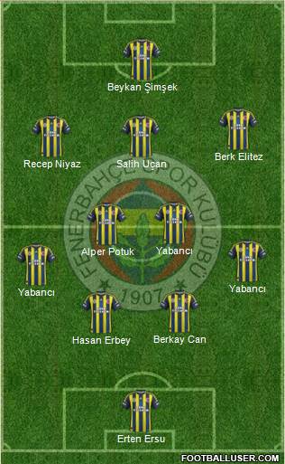 Fenerbahçe SK Formation 2013