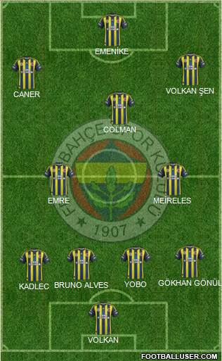 Fenerbahçe SK Formation 2013