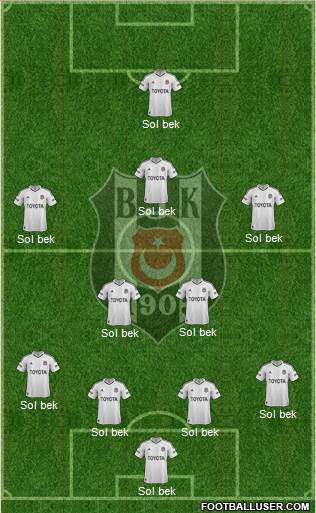 Besiktas JK Formation 2013