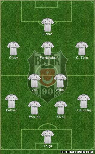 Besiktas JK Formation 2013