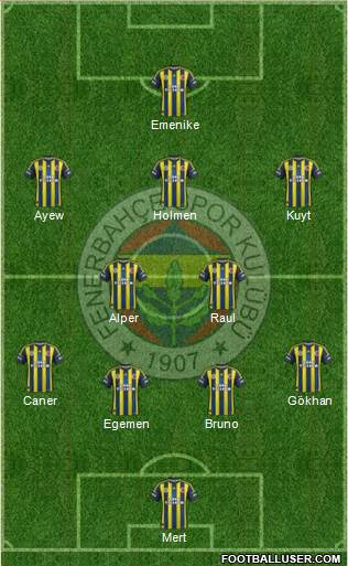 Fenerbahçe SK Formation 2013