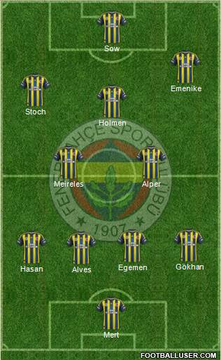 Fenerbahçe SK Formation 2013