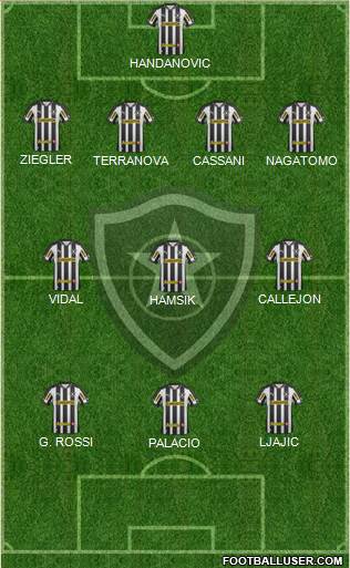 Botafogo FR Formation 2013
