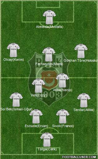Besiktas JK Formation 2013