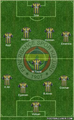 Fenerbahçe SK Formation 2013