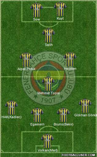 Fenerbahçe SK Formation 2013
