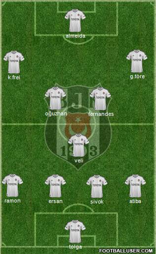 Besiktas JK Formation 2013