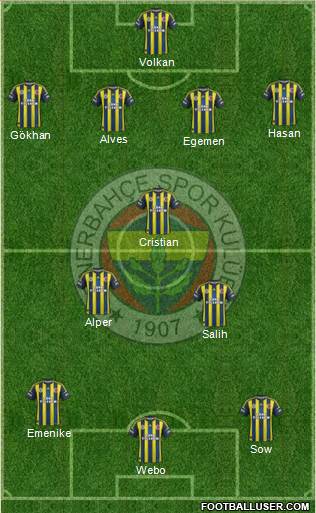 Fenerbahçe SK Formation 2013