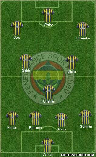 Fenerbahçe SK Formation 2013