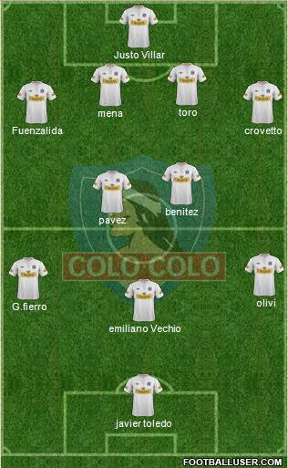 CSD Colo Colo Formation 2013