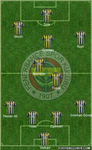 Fenerbahçe SK Formation 2013