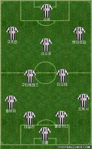 Newcastle United Formation 2013