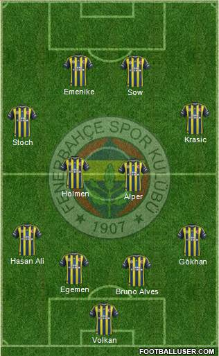 Fenerbahçe SK Formation 2013
