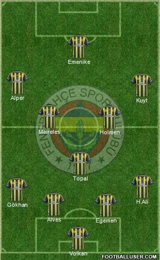 Fenerbahçe SK Formation 2013
