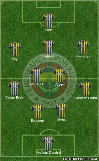Fenerbahçe SK Formation 2013