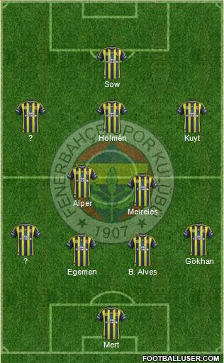 Fenerbahçe SK Formation 2013