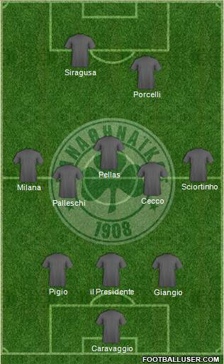 Panathinaikos AO Formation 2013
