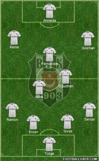 Besiktas JK Formation 2013