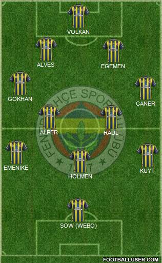 Fenerbahçe SK Formation 2013
