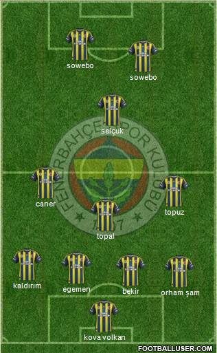 Fenerbahçe SK Formation 2013