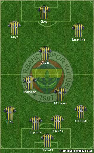 Fenerbahçe SK Formation 2013