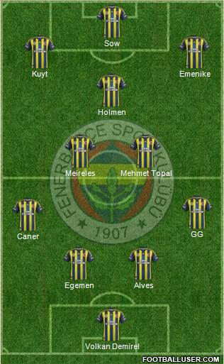 Fenerbahçe SK Formation 2013