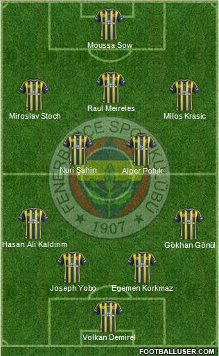 Fenerbahçe SK Formation 2013