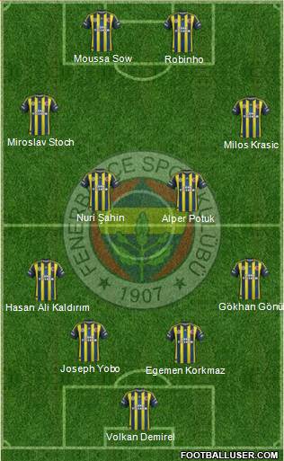 Fenerbahçe SK Formation 2013