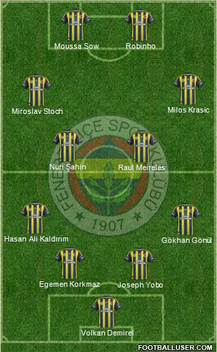 Fenerbahçe SK Formation 2013