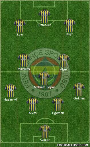 Fenerbahçe SK Formation 2013