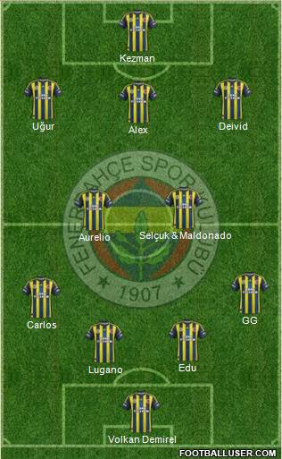 Fenerbahçe SK Formation 2013