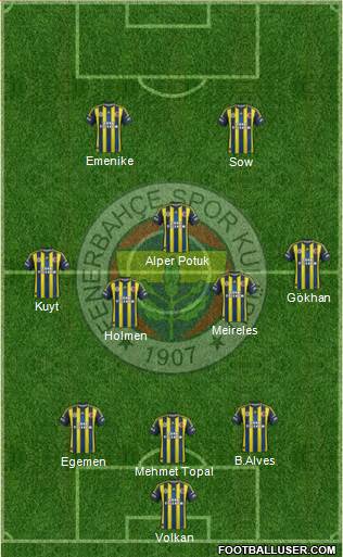Fenerbahçe SK Formation 2013