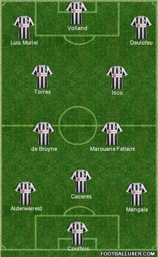 Newcastle United Formation 2013
