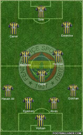 Fenerbahçe SK Formation 2013