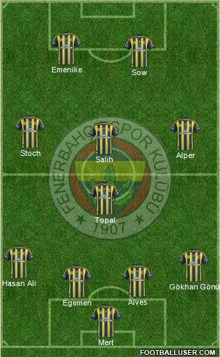 Fenerbahçe SK Formation 2013